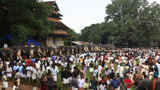 Aanayoottu at Vadakumnathan Temple
